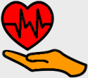 Durchfall: Ursachen, Symptome und Behandlung